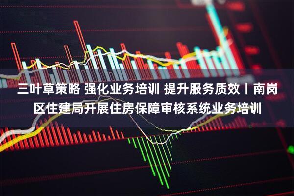 三叶草策略 强化业务培训 提升服务质效丨南岗区住建局开展住房保障审核系统业务培训
