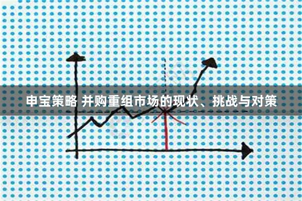 申宝策略 并购重组市场的现状、挑战与对策