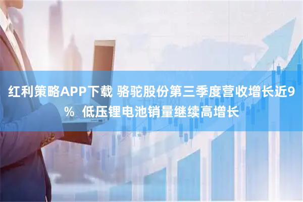 红利策略APP下载 骆驼股份第三季度营收增长近9%  低压锂电池销量继续高增长