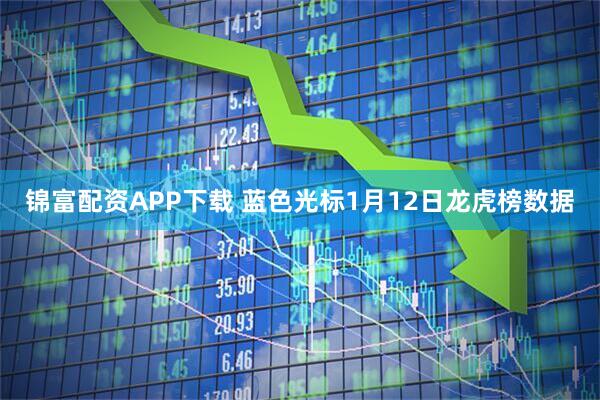 锦富配资APP下载 蓝色光标1月12日龙虎榜数据