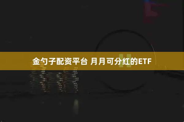 金勺子配资平台 月月可分红的ETF